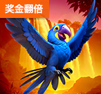  最新TP娱乐金奖杯入口怎么进？三步搞定（最新TP娱乐金奖杯入口）